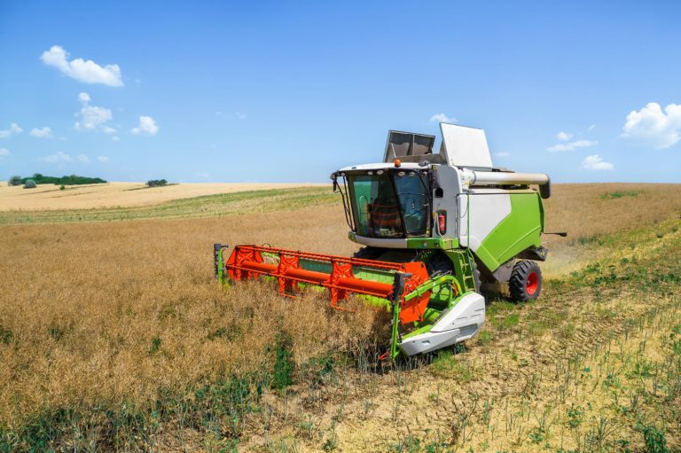 Servicios agrícolas a terceros: el negocio rentable de segar los campos de otros